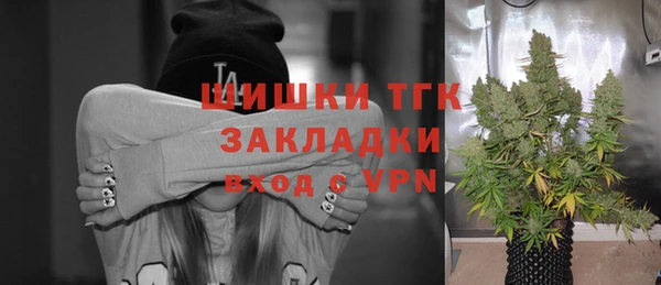ГАЛЛЮЦИНОГЕННЫЕ ГРИБЫ Елабуга