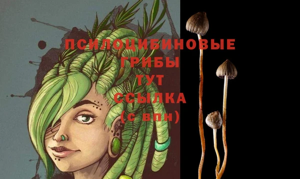мефедрон Ельня